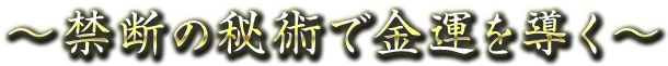 ～禁断の秘術で金運を導く～